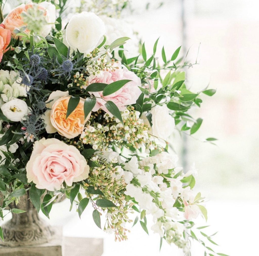 Blush garden roses with thistle and soft greenery